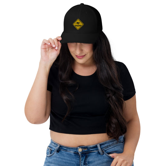 Roadsign Trucker Mesh Cap - Breathable Snapback Hat for Men and Women - Adjustable, Comfortable, and Stylish Outdoor Headwear - generalmarts.com